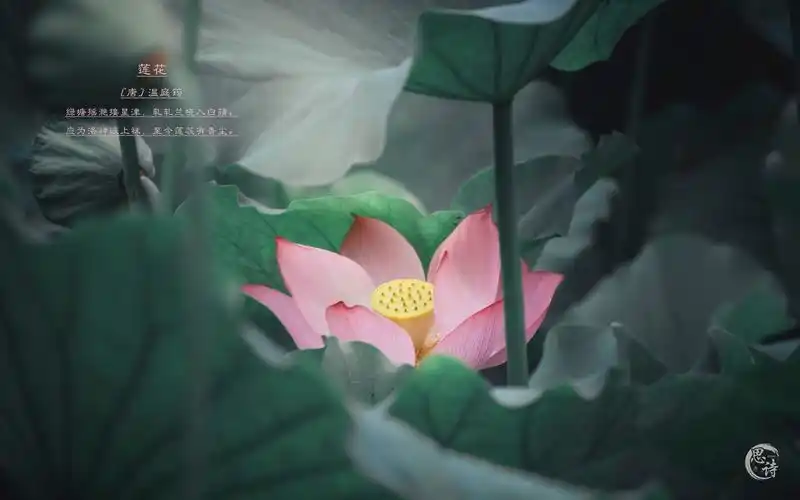 大家有没有色彩对比强烈的中国风电脑壁纸