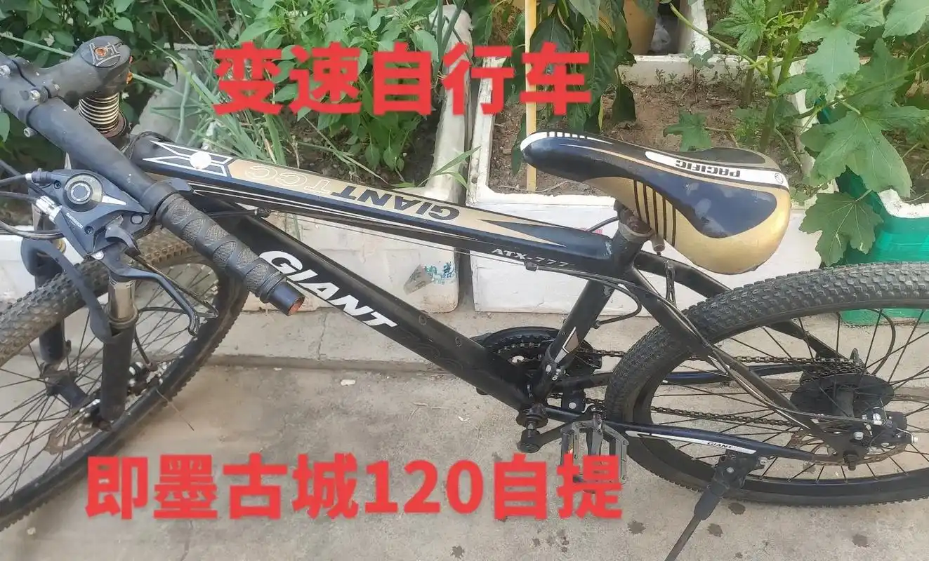 粉丝转让变速自行车