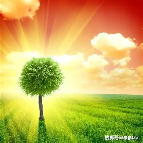 绿色草原系养心又养眼招财聚财带来好运的风景微信图片