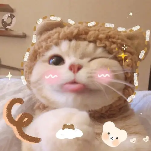 今日份治愈系猫猫头