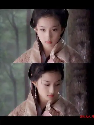 《天龙八部》【王语嫣】如冰山雪莲;静,如飘絮轻落;幽,如空谷兰花;美