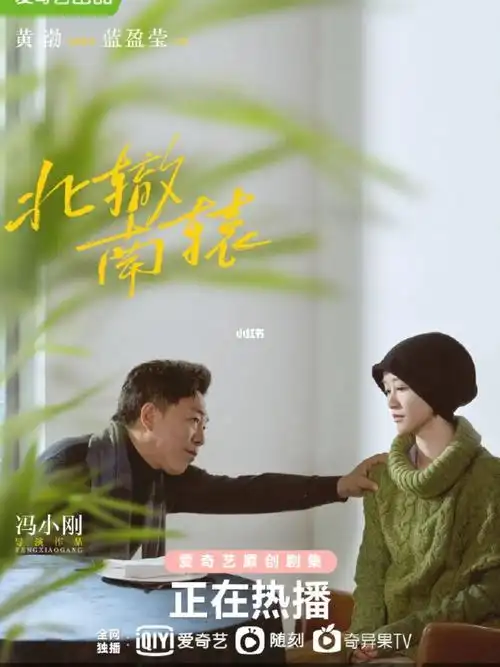 《北辙南辕》演员表绝了,内娱网剧阵容天花板_网剧_了不起的女孩影评