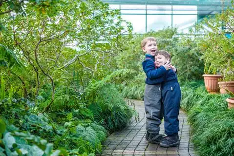 两个男孩兄弟朋友在温室中获得乐趣.杜鹃花的冬季花园.孩子们和家人