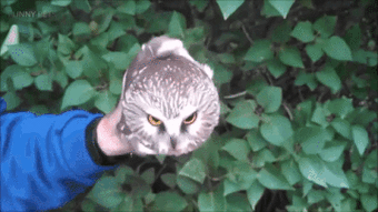 360_202gif 动态图 动图