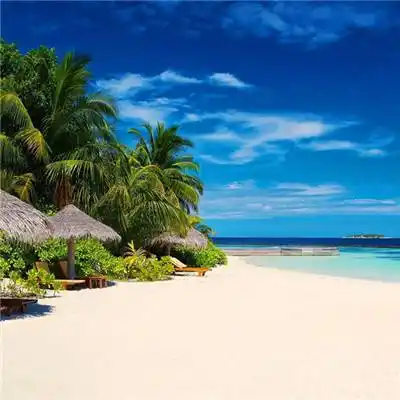 2022适合男生使用的微信风景头像图片