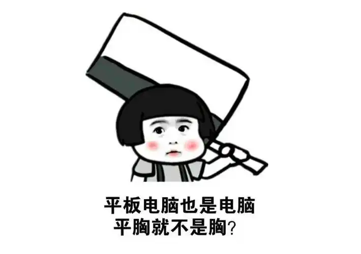 每次被人议论平胸时,小仙女们的表情应该是这样的!