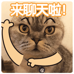 来聊天啦 - 番薯先生qq表情包_qq表情包_微信表情包表情