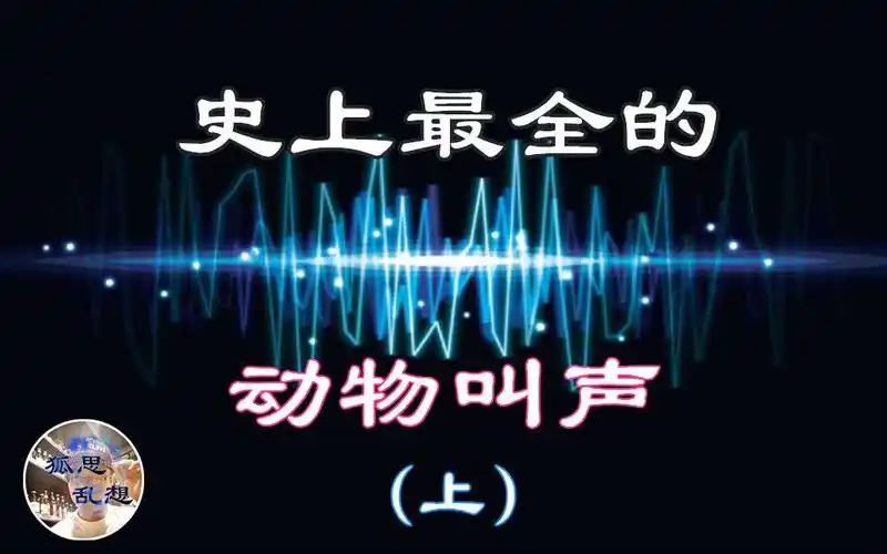 【动物声音】史上最全的动物叫声,总有一种声音你没听过!| 狐思乱想-