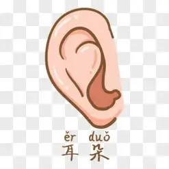 耳朵卡通图片素材_免费耳朵卡通png设计图片大全_图精灵