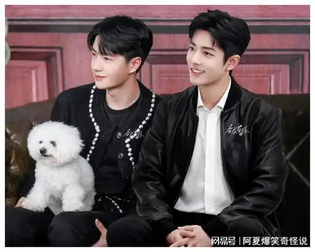 王俊凯,王源,王一博肖战,章若楠白敬亭,赵丽颖林更新,潘玮柏