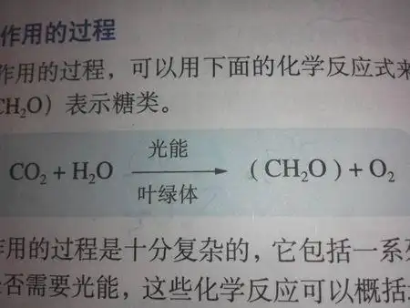 光合作用产生的有机物的量等于吸收的co2的量吗?