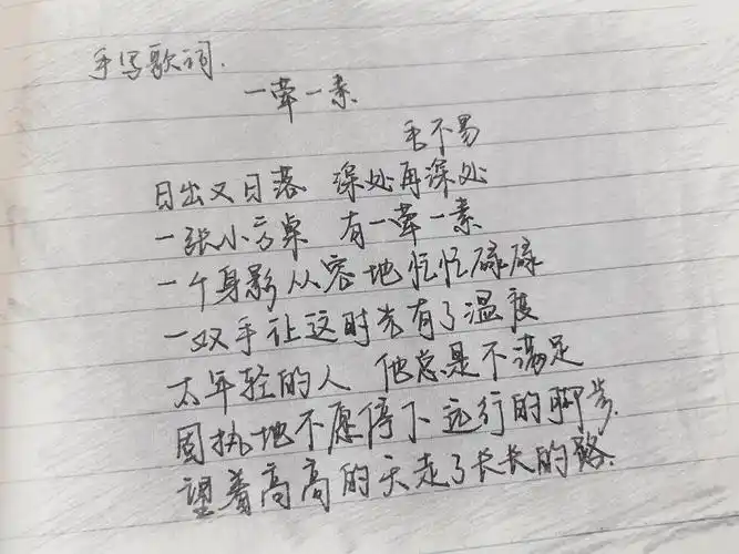 一荤一素毛不易