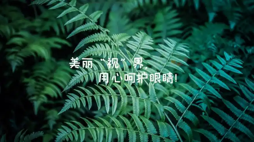 安定,舒适,也有助于保护视力,当看到满眼的绿色时,是不是眼睛很放松呢