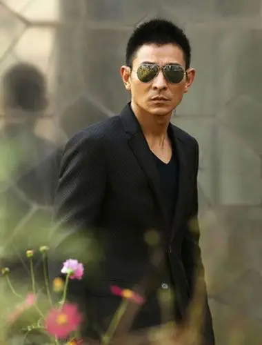 请问华仔的这款发型叫什么.