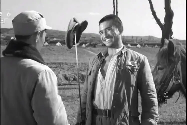 红日电影剧情「详细介绍」 _晶羽科技