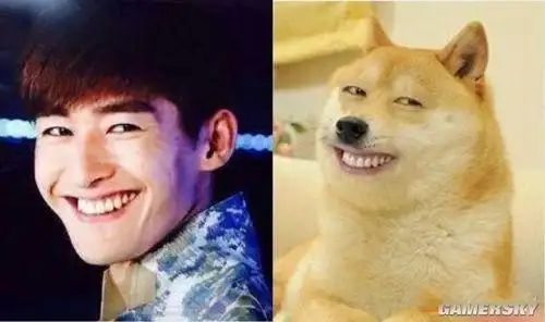 亚洲四大魔性笑容这些表情来头竟然这么大