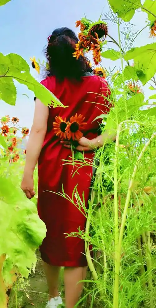 让生活充满阳光