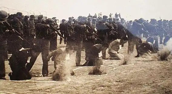 【转载】解放初期枪毙犯人现场:子弹溅起半米高尘土