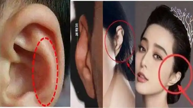 很多人想错了,这样的耳朵才有福气!