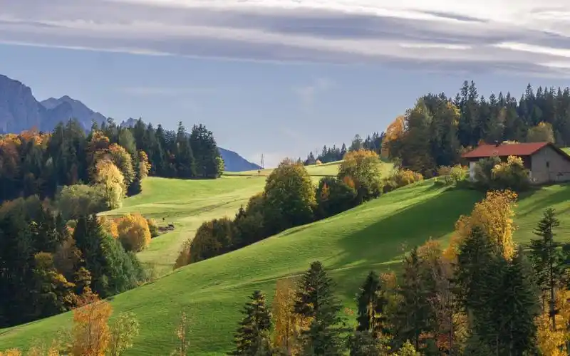 秋天的颜色 树木 山丘 房屋 风景壁纸-壁纸图片大全