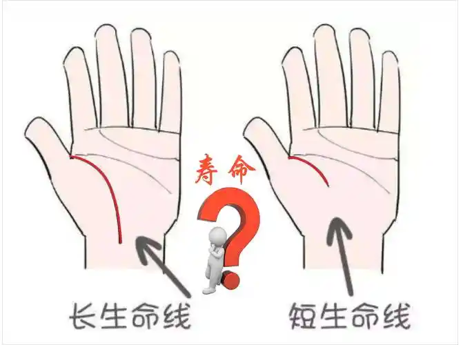 男人生命线掌纹知健康生命线