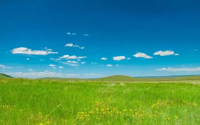 高清护眼绿色草原图片桌面壁纸
