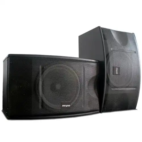 锐斯k10专业ktv卡包音箱10寸喇叭会议舞台演出家庭卡拉ok唱k音响 - 影