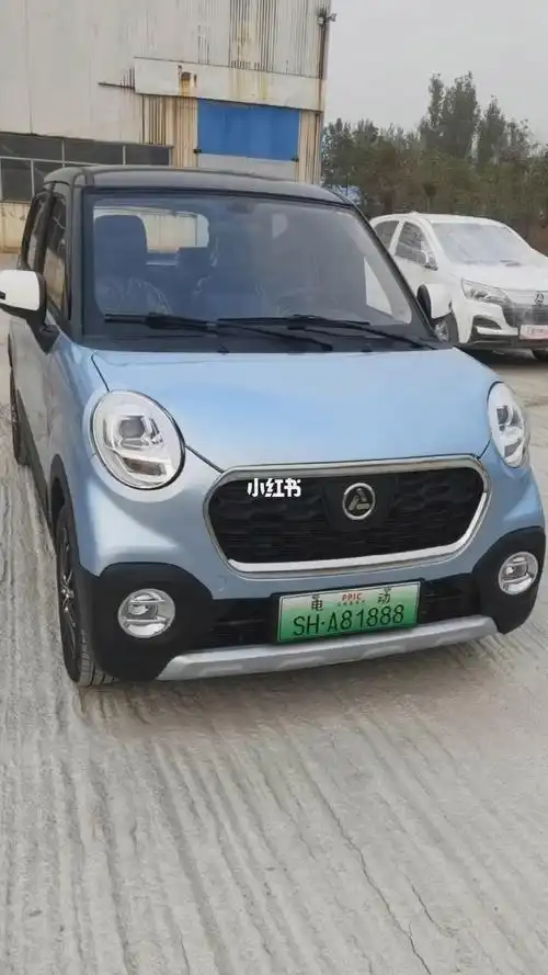 新能源鸿日u8升级版高端车老年代步车家用