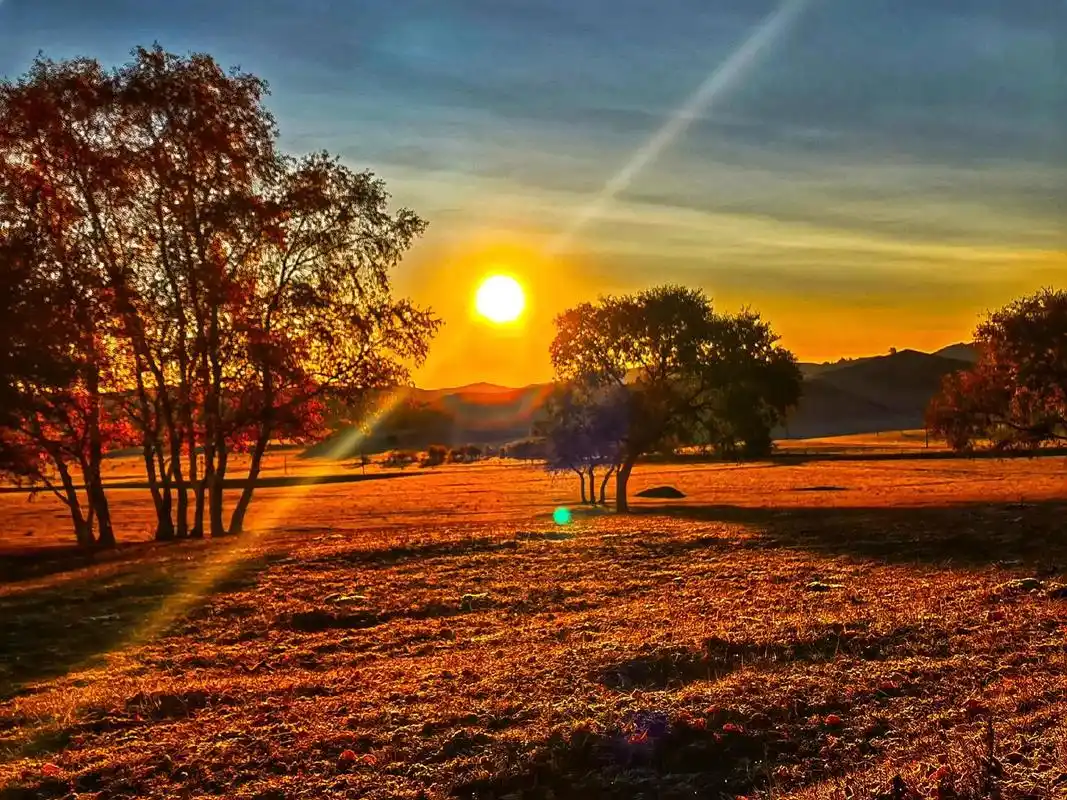 清晨第一缕阳光 #感受大自然的气息和美景 让露营成为一种生 - 抖音