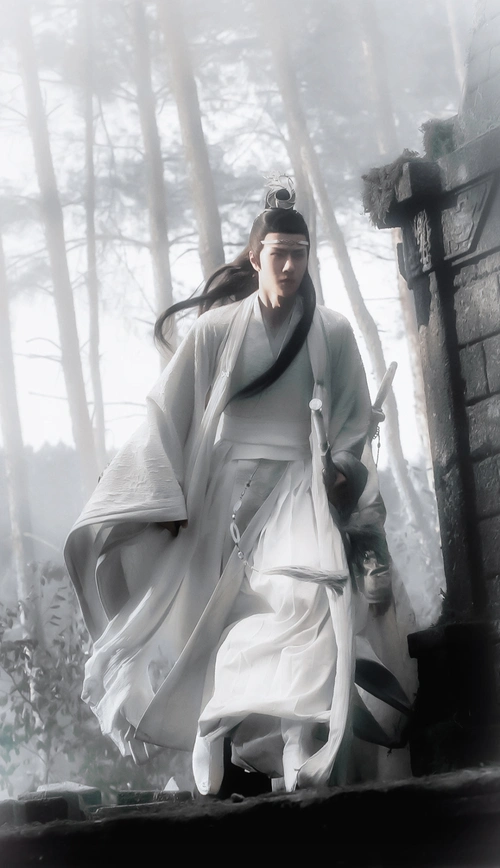 陈情令 蓝忘机 王一博