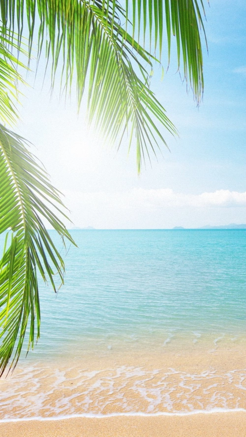 阳光沙滩h5背景