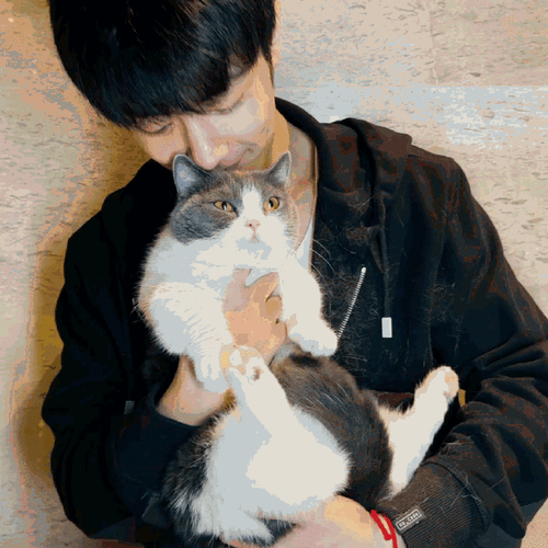 肖战重庆暴走##重庆偶遇肖战吃路边摊