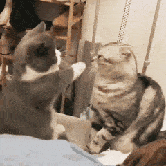 表情| 听说有人打篮球缺人(沙雕表情包)