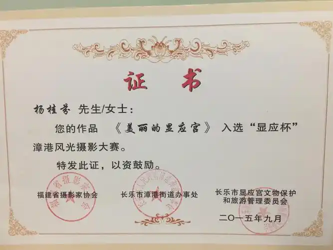 2015年度我的摄影获奖证书