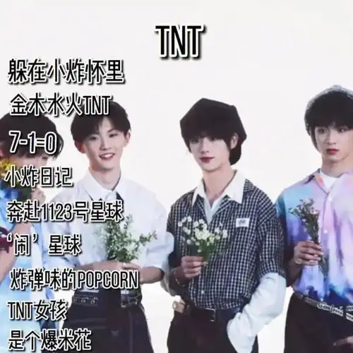 时代少年团粉丝名