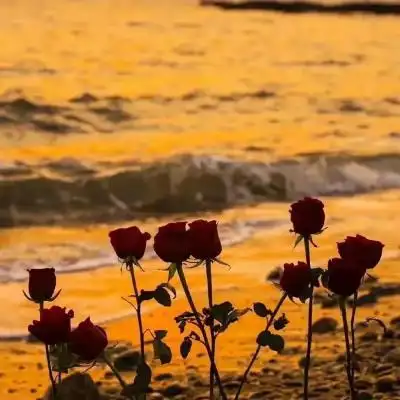 场景头像超级好看风景超级质感