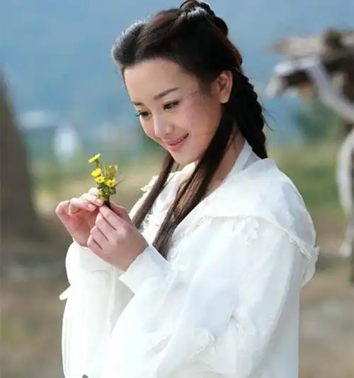 王语嫣天龙八部分析(细数天龙八部六个版本的王语嫣)(5)