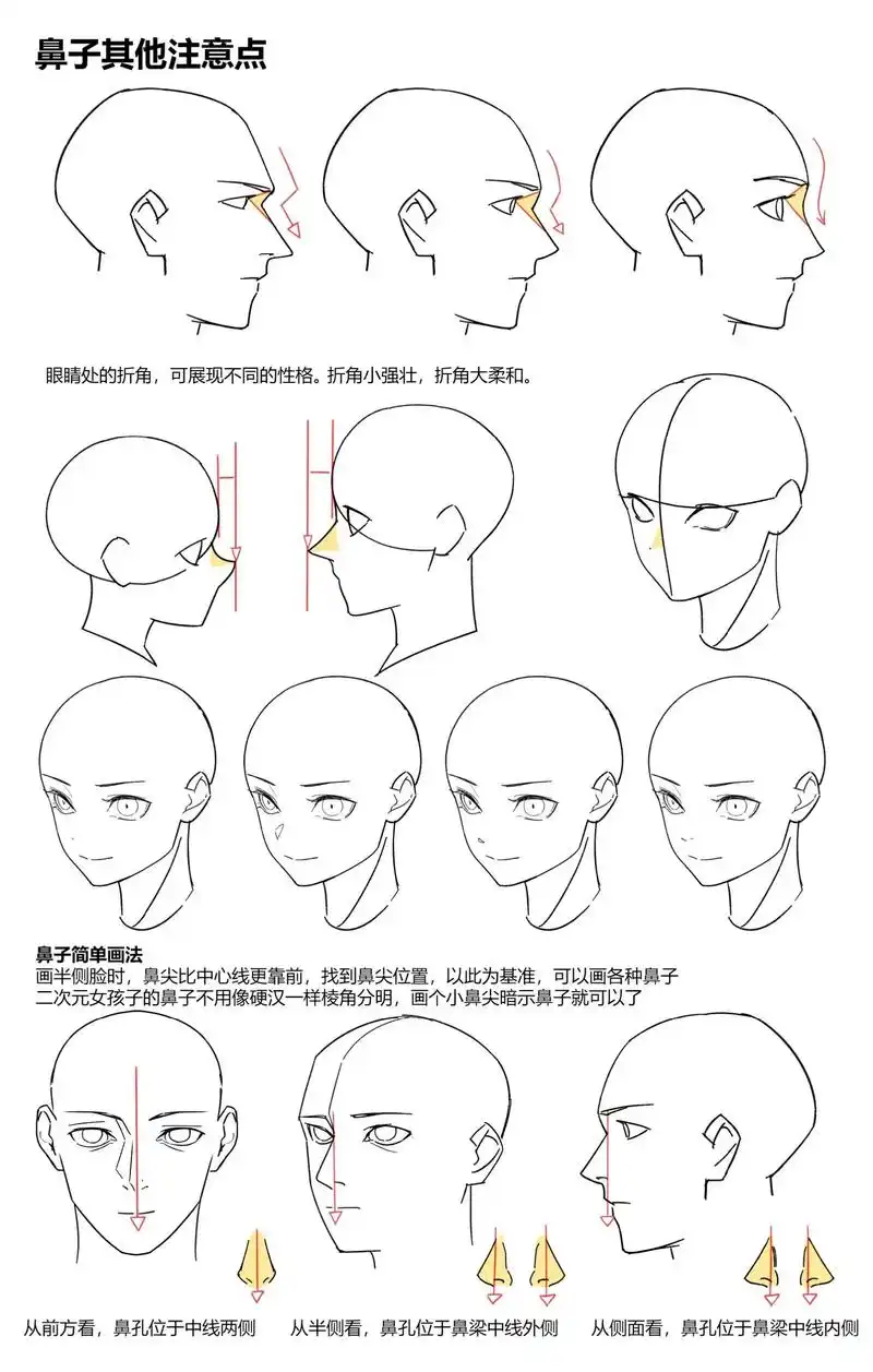 绘画笔记|人体结构 鼻子画法合集鼻子画法合集 原图是韩国