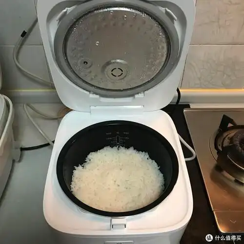 所以只用了小米电饭煲煮粥,可以看到水位是最大水位线,同时为了