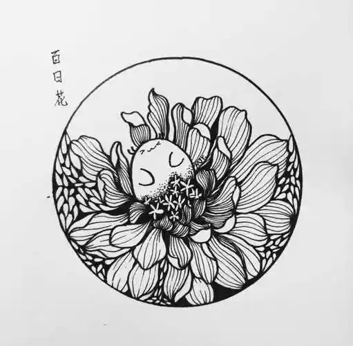圆形的线描作品