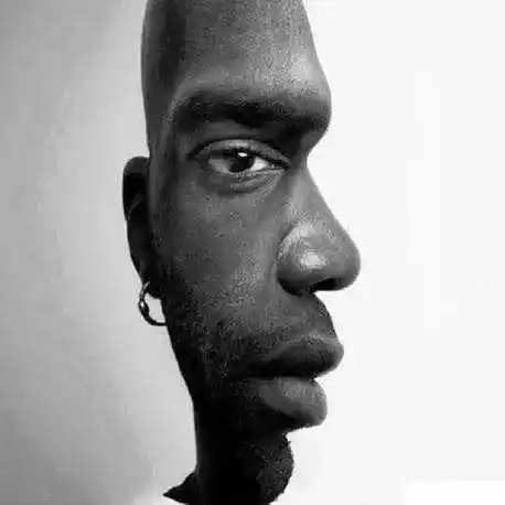 挑战七 第一眼,你看到的是哪个?侧面,还是正面?