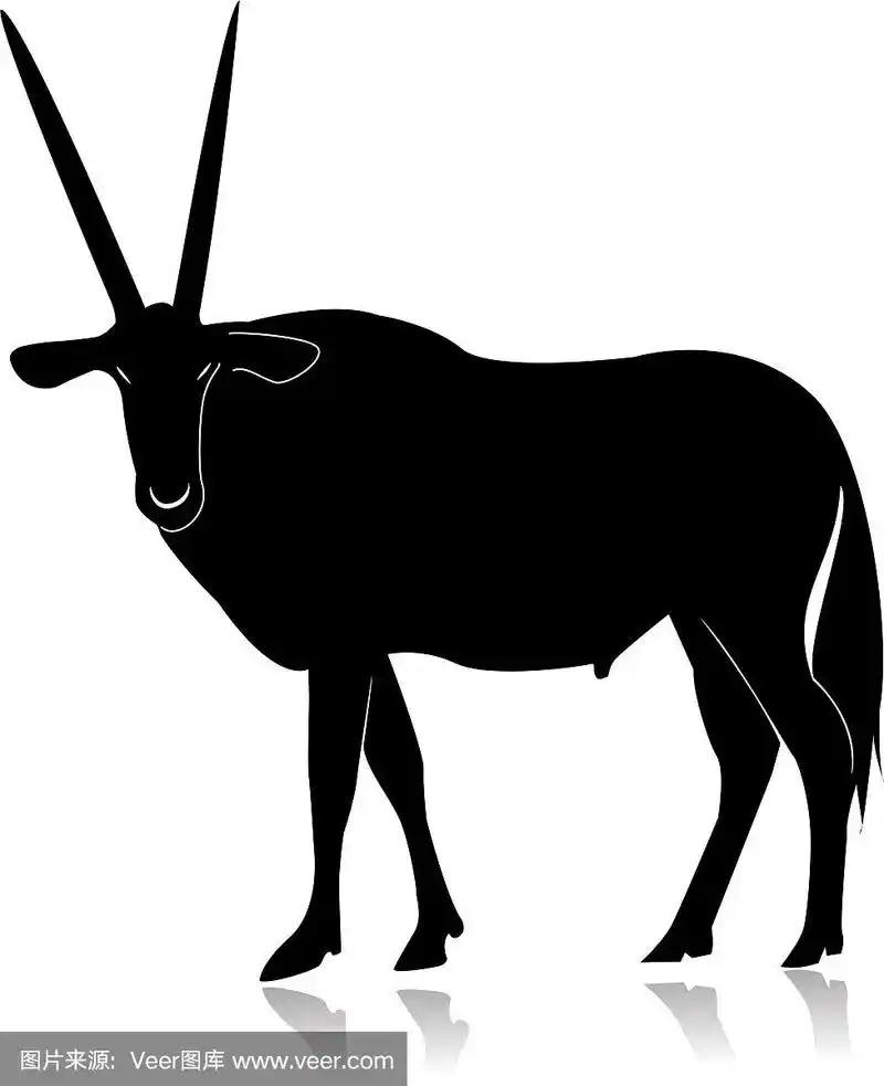 在白色背景上孤立的羚羊角剪影