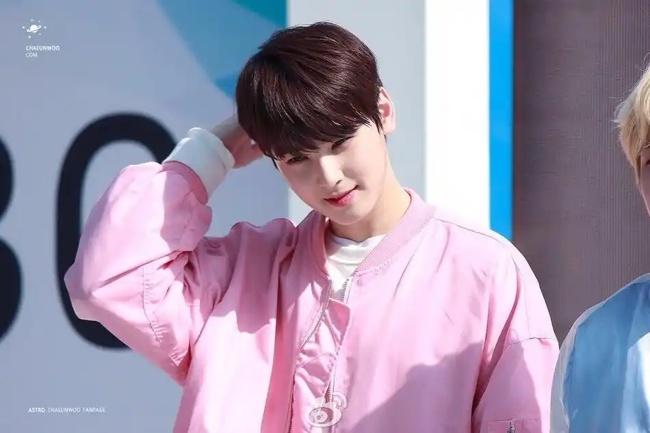 看鹿晗,tfboys,朴志训,金泰亨,朴灿烈,张艺兴等将粉色穿出温柔感