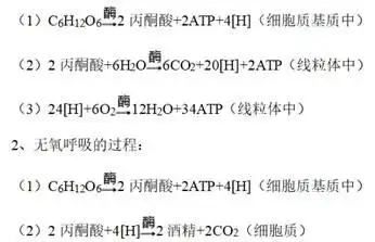 如图是酵母菌呼吸作用实验示意图有关叙述正确的是