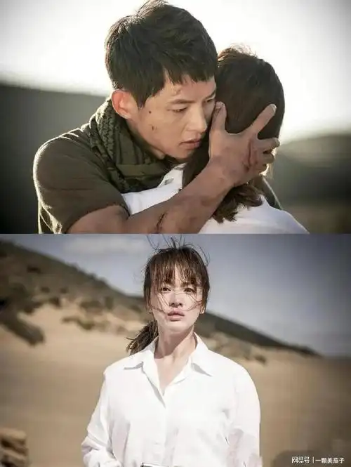 2016年2月,主演《太阳的后裔》,获得了第52届百想艺术大赏电视部门