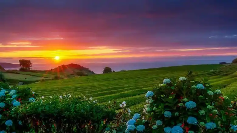 37/281当前图片分辨率:780x438原图分辨率:1920x1080原图文件大小:297