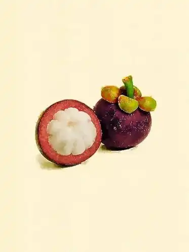 水彩水果画成这样,还有谁?