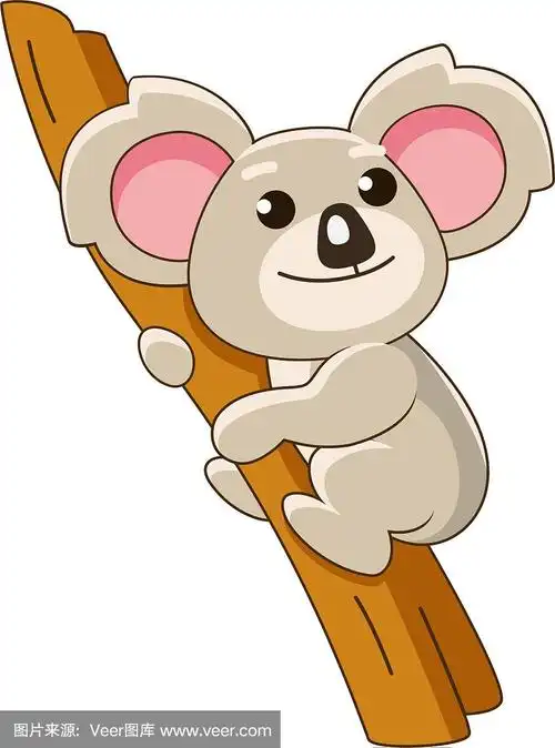 树上可爱的卡通考拉