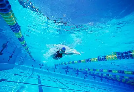 游泳,竞争,美女