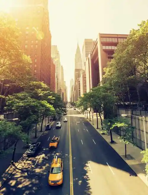 纽约街头的指示灯